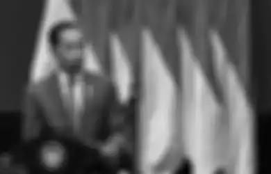 2 Kali Jadi Presiden RI dan Punya Usaha Sendiri, Jumlah Kekayaan Jokowi Sudah Tak Lagi Jadi Misteri, Segini Besarannya