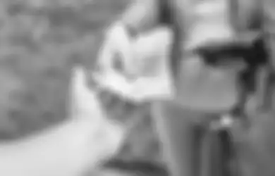 2 Tahun Diancam Suruh Kirim Setoran Uang, Kontraktor Kondang Ini Bangkrut Usai Jadi 'Sapi Perah' Oknum Perwira Polisi Nakal: Kalau Nggak Diberi, Adik Saya Disiksa