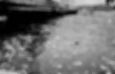 Ini Alasan Kondisi setelah Banjir Surut Paling Rawan Buat Kesehatan