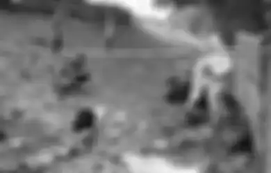 Bak Film Psikopat, Ahli Viktimologi Sebut Pembunuh Editor Metro TV Memang Sengaja Tinggalkan Pisau di Lokasi Kejadian, Ini Pesan yang Ingin Disampaikan