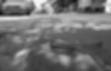 Pernikahan di Solo Dibubarkan Ormas Cuma Gara-gara Ada Upacara Adat, Tiga Orang Jadi Korban Penyerangan, Polisi Sampai Harus Evakuasi Tamu Undangan, Begini Kronologinya