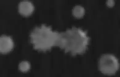Virus Corona Disebut Menyebar melalui Udara, Amankah Beraktivitas Outdoor?