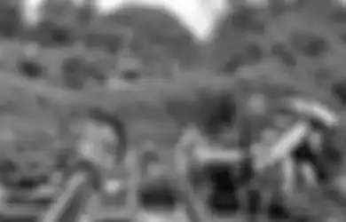 Melipir ke Pinggir Hutan Tengok Kerbaunya Sebelum Jumatan, Pria 40 Tahun di Aceh Timur Mendadak Hilang Secara Misterius, Warga Beri Spekulasi Kepincut Janda Bolong hingga Diculik Makhluk Halus 
