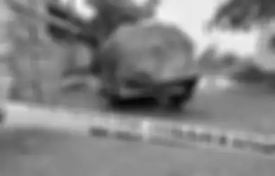 Masih Ada Hubungan Keluarga dengan Jokowi, Wanita yang Ditemukan Tewas dalam Mobil yang Terbakar Diduga Kuat Sebagai Korban Pembunuhan