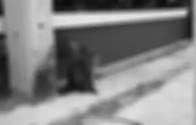 Kocak, Viral Kucing Bawa Tagihan Utang Usai 3 Hari Kabur dari Rumah, Pemilik: Budak Kucing