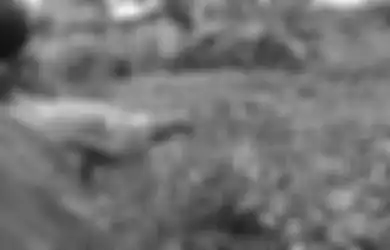 Paranormal Sampai Diturunkan, Perampok Toko Emas di Meulaboh Bikin Geger, Pelaku Hilang Bak Ditelan Bumi Usai Kabur ke Rawa-rawa