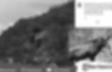 Viral video Penampakan 'Kerbau' Misterius di Lereng Gunung Dempo, Masyarakat Sekitar Percaya Hewan Tersebut Muncul Jika Dipanggil Melalui Ritual, Berikut Bentuknya
