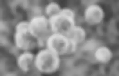 Bakteri Kebal Antibiotik Jadi Ancaman Kesehatan di Tengah Pandemi Virus Corona