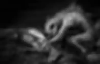 Situasinya Bak di Film Horor, Puluhan Kambing Milik Warga di Jawa Barat Mati Misterius, Saksi Ngaku Pergoki Hewan Penghisap Darah Mirip Anjing