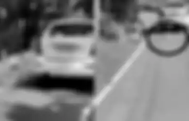 Lehernya Terikat Kencang, Anjing Betina Ini Diseret Seorang Pria Pakai Mobil Berkecepatan Tinggi, Video Mengerikannya Viral Sampai Polisi Turun Tangan