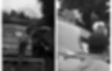 Rekaman Detik-detik Penjarahan Bantuan Logistik Korban Gempa di Majene, Netizen: Ketika Perut Tak Mampu Tahan Etika