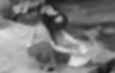 Aksi Penjagalan Kucing di Medan Picu Kemarahan Netizen, Dagingnya Dijual Seharga Rp70 Ribu per Kg
