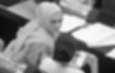 Kontras dengan Pernyataan Ketua DPC Partai Gerindra Soal Nama Mulan Jameela Masuk Bursa Calon Bupati Garut, Sufmi Dasco Ahmad Justru Bilang Begini