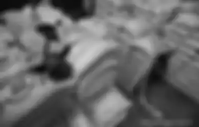 Ombudsman Gerak Cepat Cegah Pemerintah Agar Tak Langung Impor Beras, Potensi Maladministrasi Ditemukan