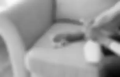 Bikin Emak-emak Girang, Iseng Tuang Sabun Cuci Piring ke Noda Sofa Malah Ini yang Terjadi!