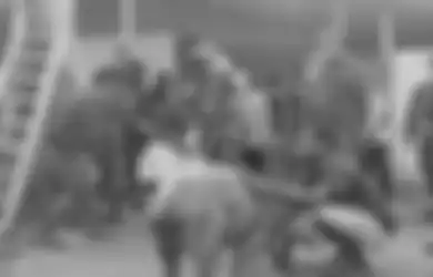 Nasi Sudah Jadi Bubur, Foto Pemberian Babi Sebagai Tanda Maaf Beredar, Danlanud Merauke Pasrah Dicopot Panglima TNI