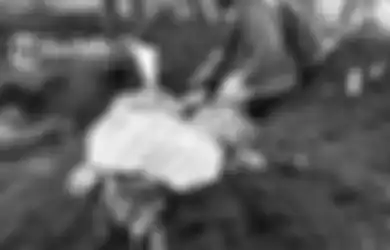 Bikin Heboh Warga, Geger Penemuan 'Pocong Mini' Saat Proses Penggalian Situs Watugenuk Boyolali, Tukang Gali: Belum Lama Terkubur, Kemungkinan Buat Nyantet