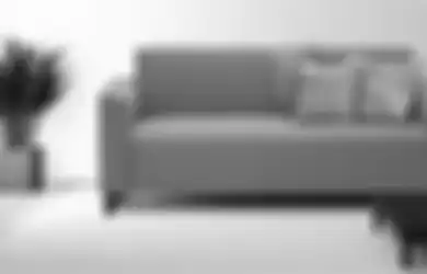 Sofa Nara 2 Seater Pelengkap Kehangatan Tampilan Ruang Keluargamu
