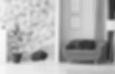 Mana yang Lebih Untung? Ini Pertimbangan untuk Pilih Cat Dinding atau Wallpaper