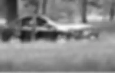 Saksi Mata Elus Dada, 2 Bocah Gedor Pintu Mobil Sambil Nangis, Ternyata di Dalamnya Ibu Mereka Sedang Bermesraan dengan Pria Lain