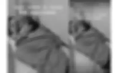 Sakit Sampai Tak Kuat Lakukan Apapun, Kiwil Mimpi Didatangi Almarhum Sapri: Yang Dipikiran Gue Cuma Sakaratul Maut