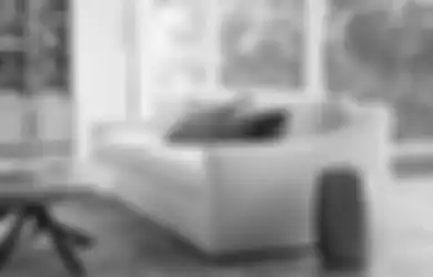 Berikut 10 Gaya Sofa Klasik yang Harus Diketahui Sebelum Memilih Sofa