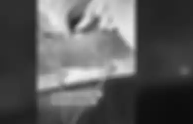 Bikin Geger Seisi Tiktok, Hewan Ini Diberi Pakan Tak Lazim oleh Pemilik, Cara Beri Makanya Buat Netizen Heran: Kesukaan Gue!