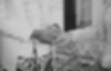 Ustaz Khalid Basalamah Menyebut Kalahkan Pahala yang Lain di dalam Rumah, Hal-hal Kecil yang Dilakukan Suami Istri Ini Ternyata Kunci Sederhana Masuk Surga