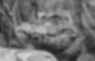 Benarkah Jadi Tanda Keberuntungan? Inilah Arti Mimpi Dikejar Buaya