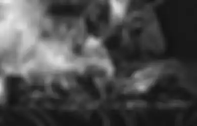 3 Weton Kebal Santet Karena Diam-diam Punya Pagar Gaib, Siapa Saja?