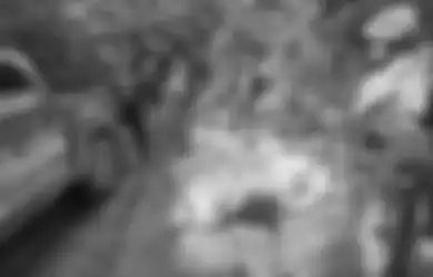 Hangus Terbakar dan Banyak Luka Bacok, Kondisi 4 Jasad Korban Pembantaian KKB Papua Mengenaskan, Aparat TNI-Polri Susur Gunung Hingga Sungai untuk Evakuasi 
