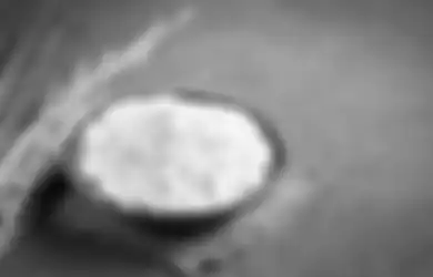 Bisa Tingkatkan Produksi Enzim Pencernaan, Tepung Sagu Terbukti Ampuh Atasi Penyakit Asam Lambung, Begini Kata Ahli Food Technologist