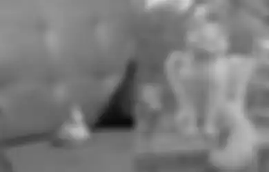 Ustaz Abdul Somad Sebut Memelihara Diperbolehkan dalam Islam, Asal Memenuhi Syarat-syarat Ini