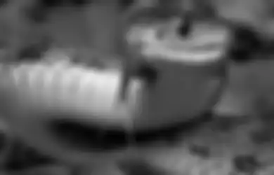 Tak Usah Risau dengan Mimpi Digigit Ular atau Mimpi Buruk Lainnya, Begini Cara Tepat untuk Menyikapinya
