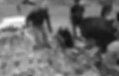 Sepucuk Revolver hingga Kamera DSLR Disita, Satgas Damai Cartenz Berhasil Temukan Jejak KKB Papua Pimpinan Egianus Kogoya di Nduga