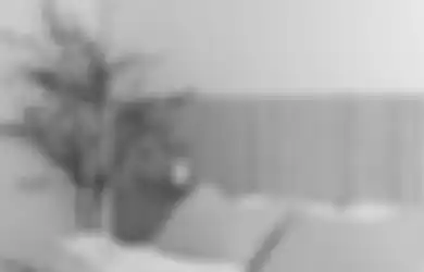 Manjakan Diri dengan Beristirahat di Kamar Tidur Minimalis 
