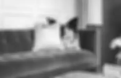 Yuk Temukan Inspirasi Dekorasi dengan Sofa Abu-Abu untuk Interior Anda!