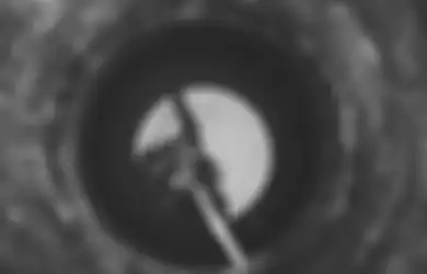 4 Cara Mengatasi Septic Tank Penuh Saat Musim Hujan dengan Tepat