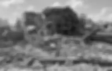 Muhammad Husein WNI yang Terjebak di Gaza Sudah Sempat Berpesan Ingin Syahid di Palestina, Keluarga: Di Sana Tiap Detik Taruhan Nyawa
