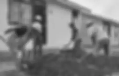3 Weton yang Bakal Sukses di Profesi Tukang Bangunan Profesional, Siap Jadi Mandor!