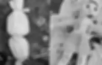 Kena Kiriman Santet? Kemunculan Hewan-Hewan Ini Jadi Tanda Ilmu Hitam Gagal Merasuk ke Keluarga, Ulama: Seperti Ada Ledakan