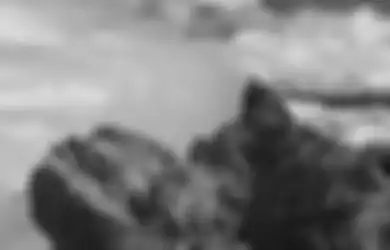 Siapa Sosok di Balik Pendakian Sukses Pertama Puncak Carstensz?