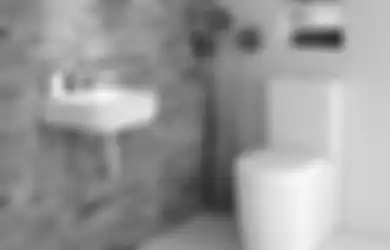 Mudah dan Murah, Begini Cara Mengatasi WC Mampet Dengan Cuka!