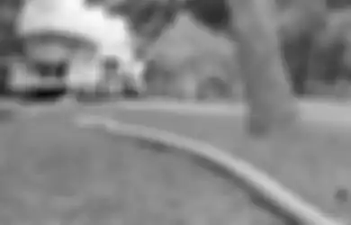 Jangan Salahkan Hujan Bila Septic Tank Pampat, Ini Dia Cara Merancang Septic Tank yang Benar!