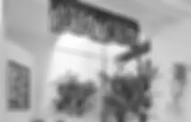 Sensasi Segar Tanaman Tempel