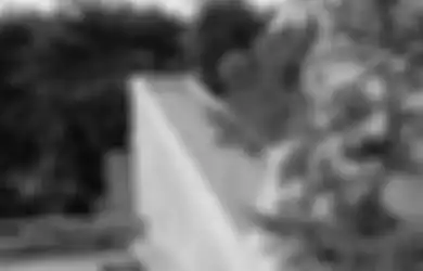 Yuk, Buat Halaman di Atap Rumah