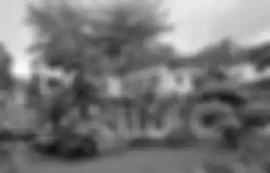 Solusi Jitu: Ruang Sejuk dengan Pohon Tinggi