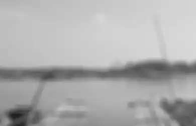 Solusi Menyelamatkan Air Jakarta. Apa Saja?
