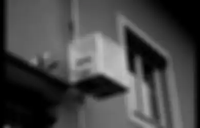 Lift Kucing yang Kreatif