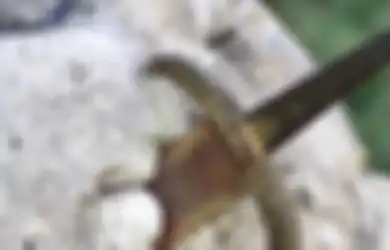 Asyik Berlibur, Bocah Tak Sengaja Temukan Pedang Legendaris Excalibur Milik Raja Arthur